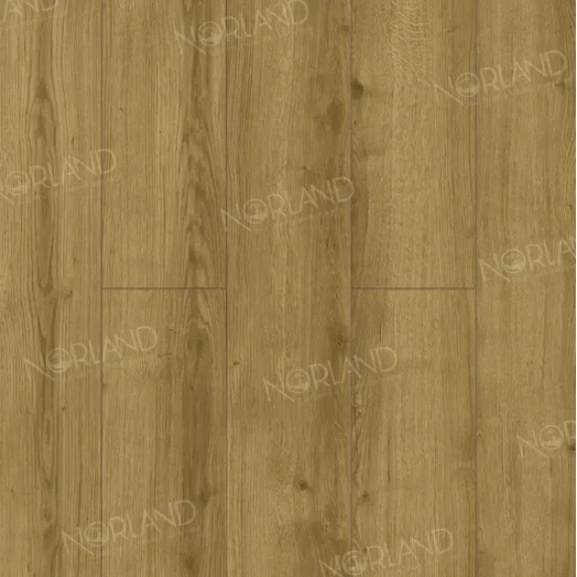 Ламинат Norland Elegant 8мм Дуб Фанэн Ламинат Norland Elegant 8мм Дуб Фанэн фото
