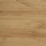 Tarkett Omnisports Action 65 Cold Beech фото